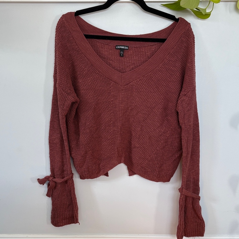 Express Deep V-Neck Sweater in Brick Red